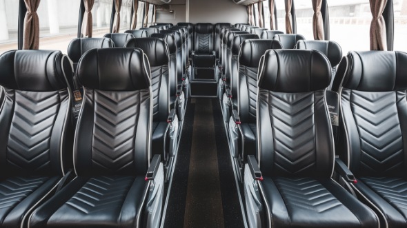 56 passenger charter bus rental greenville