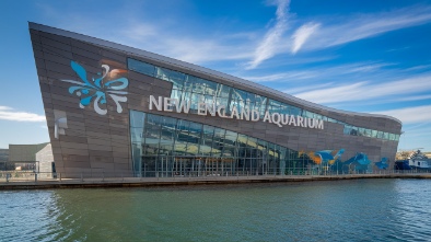 new england aquarium